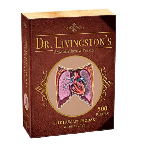 Dr. Livingston's Anatomy Jigsaw Puzzle: Human Thorax