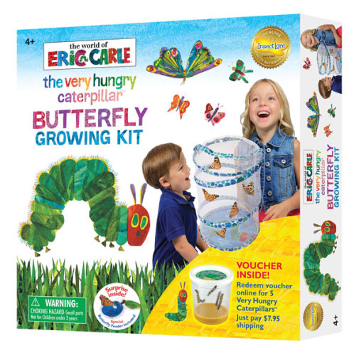 Butterfly Kits with Live Caterpillars  Grow Butterflies at Home - Insect  Lore