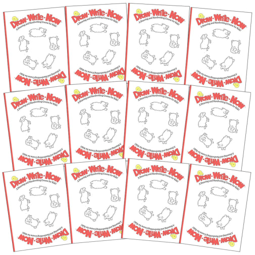 Draw-Write-Now Workbook (5/8" Ruled) set of 12