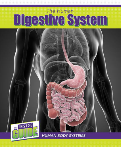 Human Digestive System (Inside Guide: Human Body Systems)