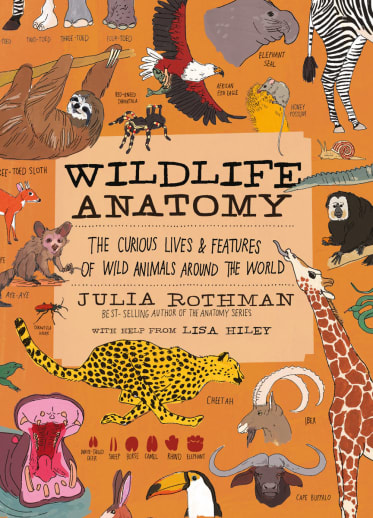 Wildlife Anatomy by Julia Rothman