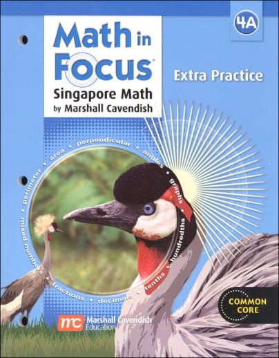 Math in Focus Grade 4 Extra Practice A