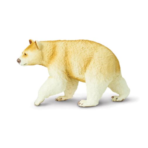 Kermode Bear (Wild Safari North American Wildlife)