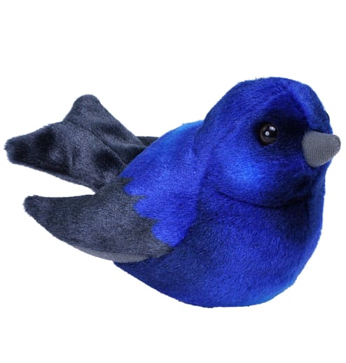 Audubon Bird: Purple Martin With Real Bird Call