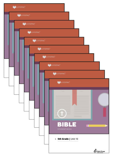 Bible 5 Lifepacs Only