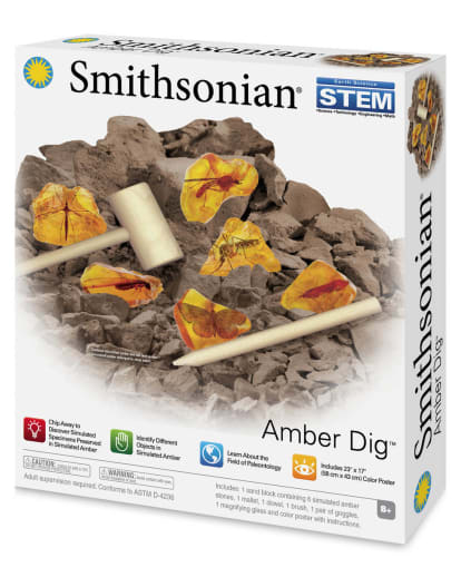 Smithsonian Amber Dig