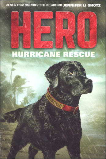 Hero: Hurricane Rescue by Jennifer Li Shotz