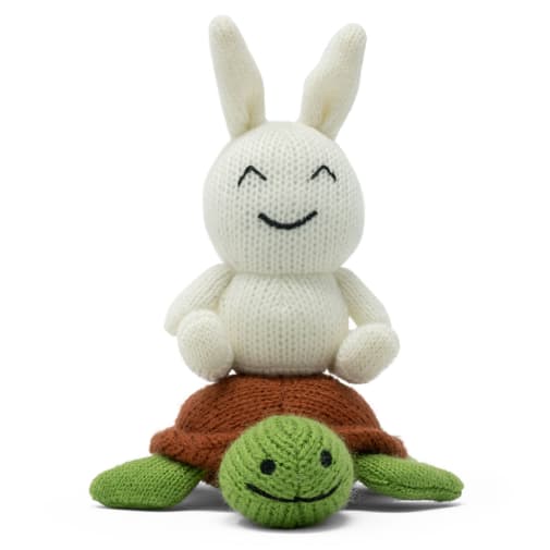 Tortoise and the Hare Craftie