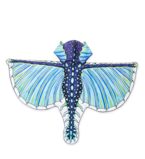 Hooded Dragon Wings - Frost Blue