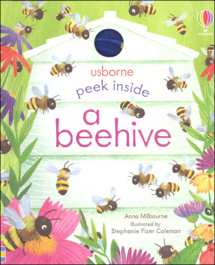 Peek Inside a Beehive