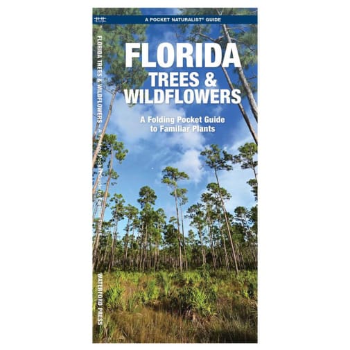 Florida Trees & Wildflowers