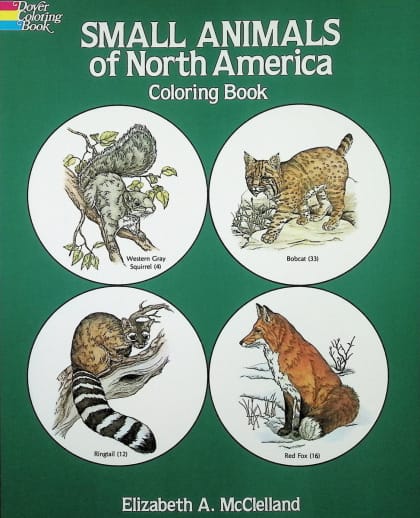 Small Animals of North America Coloring Book