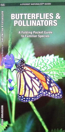 Butterflies & Pollinators (Pocket Naturalist Guide)