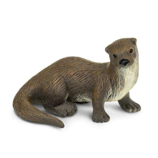 River Otter (North American Wildlife)