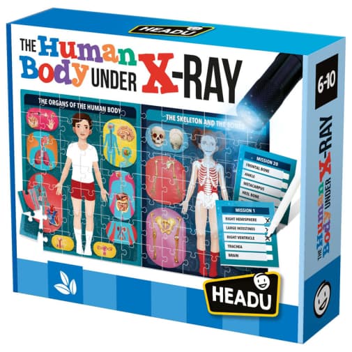 Headu Human Body Under X-Ray Puzzle