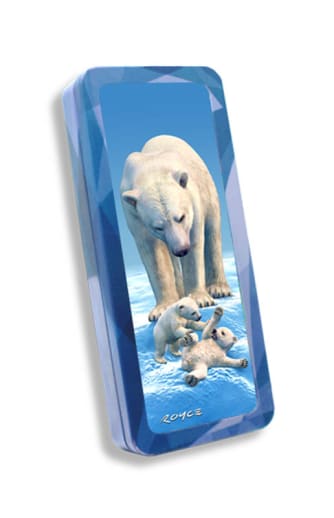 Polar Bears 3D Pencil Tin