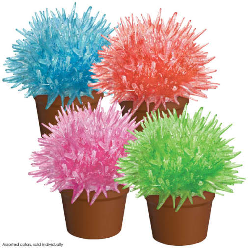 Crystal Cactus (assorted color)
