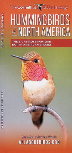 Hummingbirds of North America Folding Pocket Guide