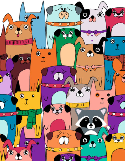 Artwille Paint by Number - Raccoon Among Friends