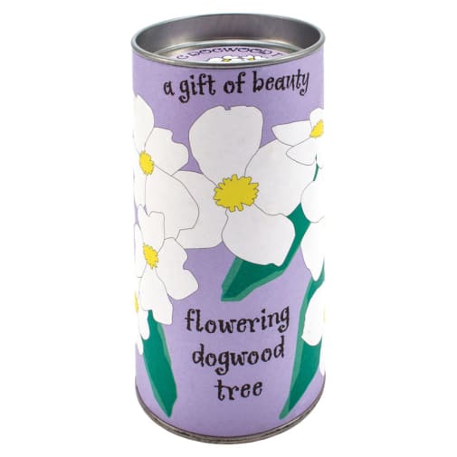 Flowering Dogwood Grow-A-Tree Kit