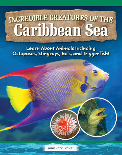Incredible Creatures of the Caribbean Sea