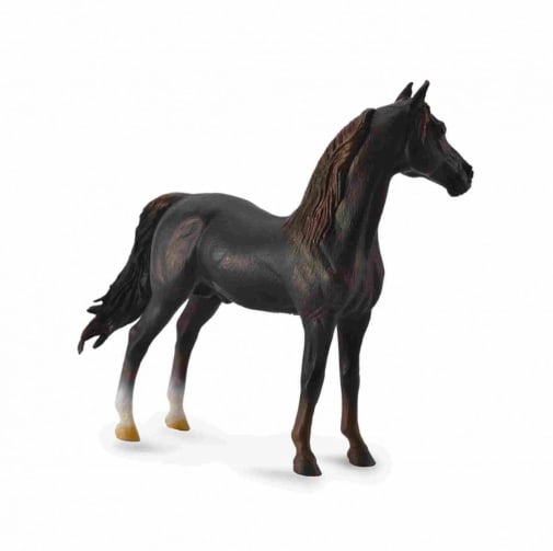 Breyer Chestnut Morgan Stallion (CollectA Collection)