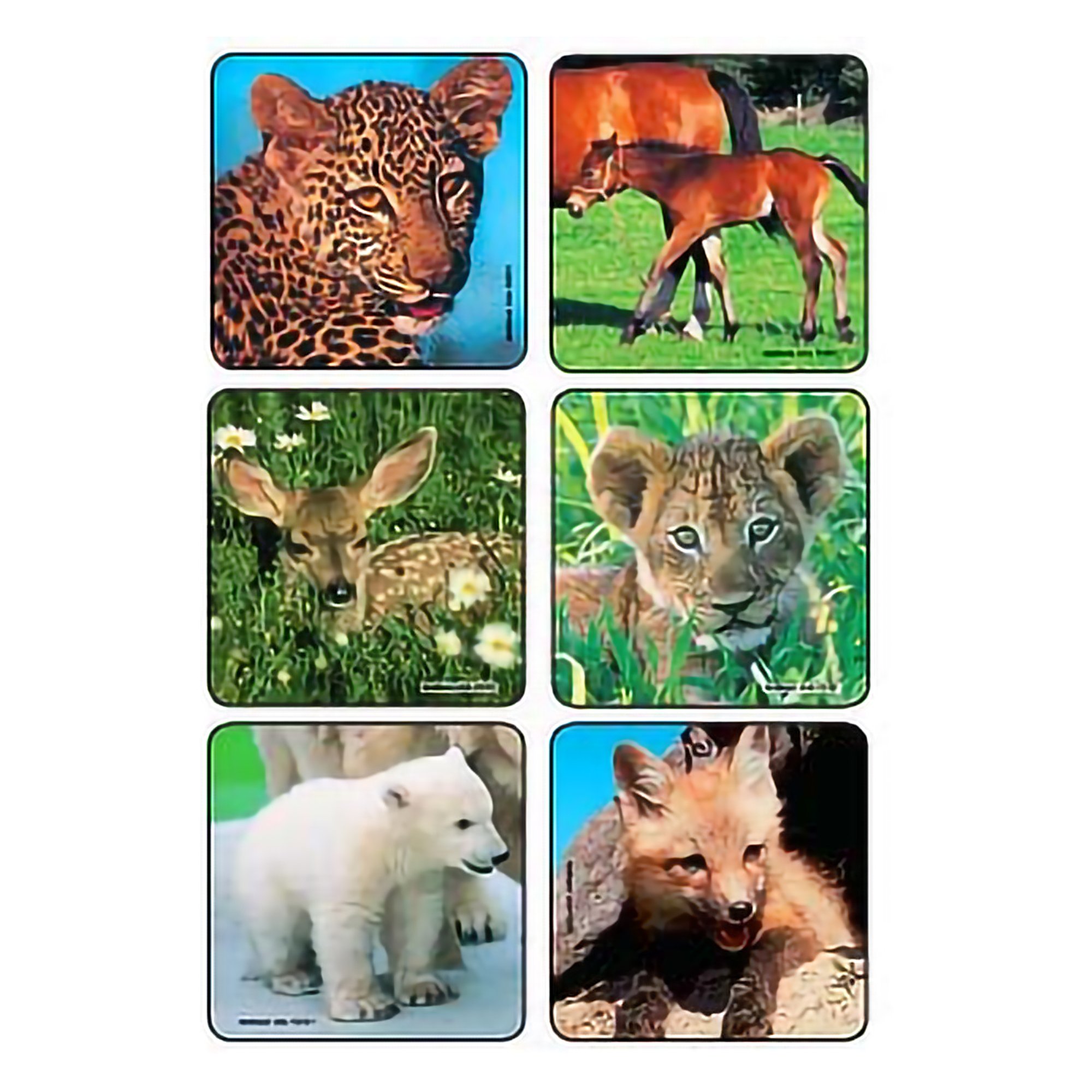 Sticker Kids Love Stickers 90 per Pack Baby Animal Photos , Assorted 2-1/2 X 2-1/2 Inch MK 884148
