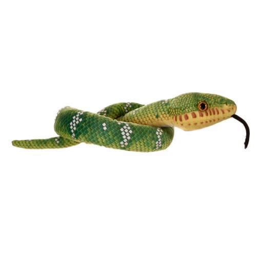 Snake - Green Coiled Emerald Tree Boa