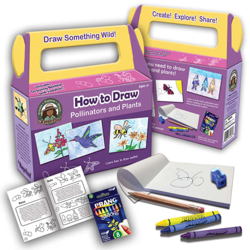 How to Draw Pollinators and Plants Art Kit