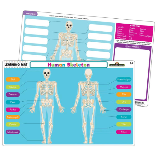 Learning Mats - Human Skeleton
