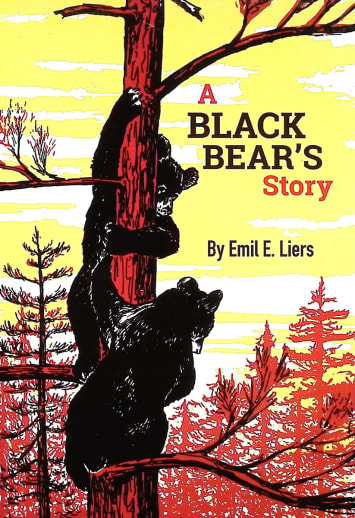 Black Bear's Story (Animal Stories)