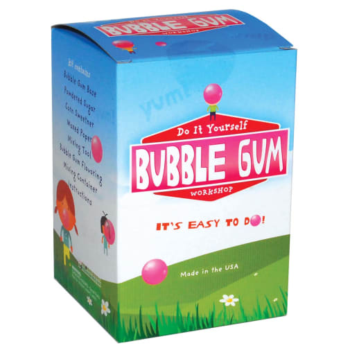 Do it Yourself Bubble Gum Workshop Kit