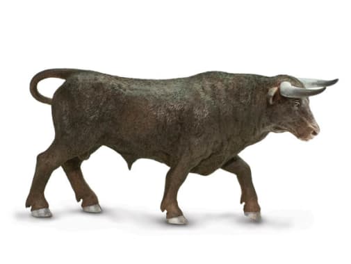 Black Bull (Safari Farm)