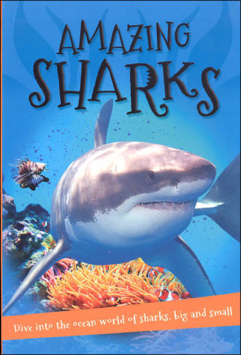 It's all about...Amazing Sharks