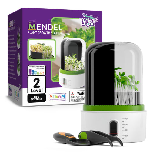 Plant Growth Station