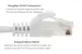 Cat5e Ethernet Patch Cable, Snagless, UTP, 25 ft, White