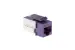 Cat6A RJ45 110 Type Keystone Jack, Purple