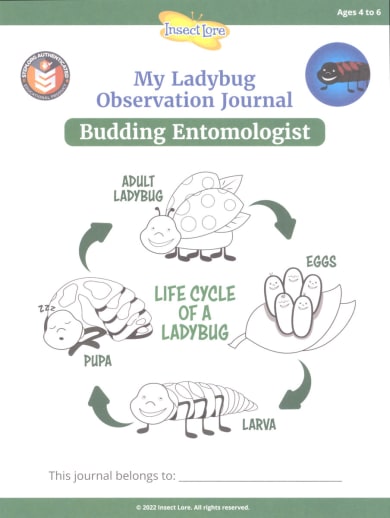 STEM Ladybug Activity Journal - Budding Entomologist