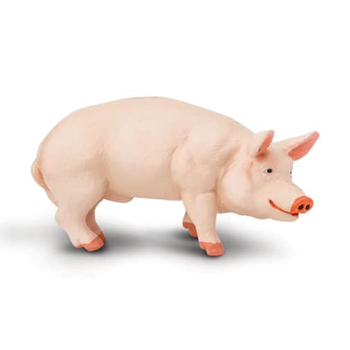 Safari Boar (Farm Collection)