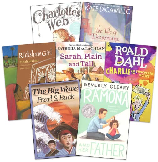 Lightning Literature Grade 3 Literature only Pack