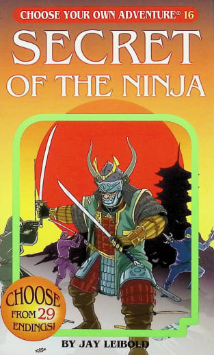 Secret of the Ninja (Choose Your Own Adventure)