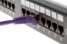 CAT5e Shielded Ethernet Patch Cable, Booted, 100ft, Purple