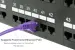 Cat6 Ethernet Patch Cable, Snagless, UTP, 1 ft, Purple