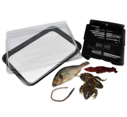 Dissecting Lab Materials