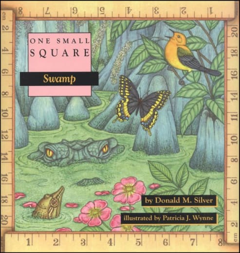 One Small Square: Swamp