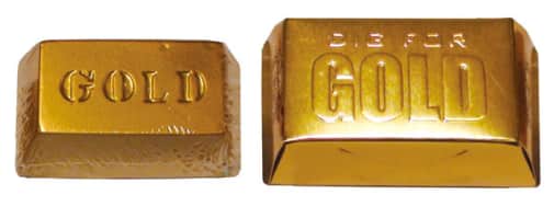 Golden Nugget Dig Kit
