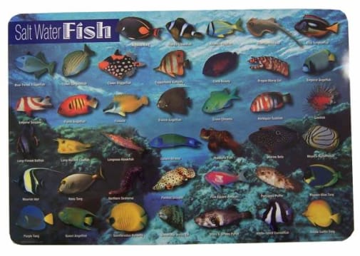 Salt Water Fish Placemat