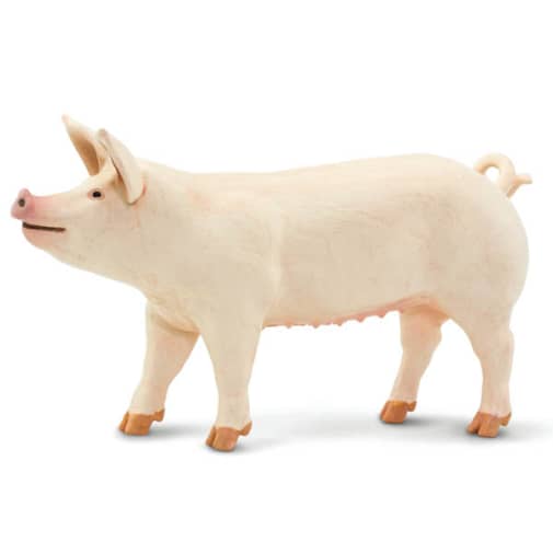 Safari Large White Pig (Farm Collection)