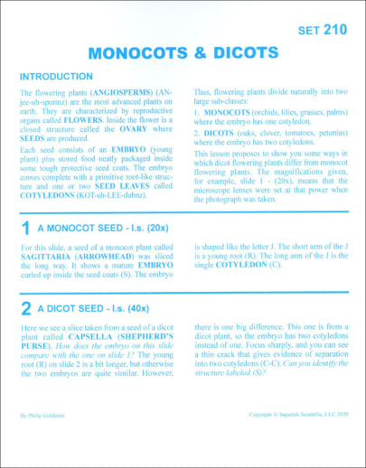 Microslide, Monocots & Dicots Set