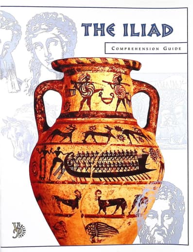 Iliad Comprehension Guide